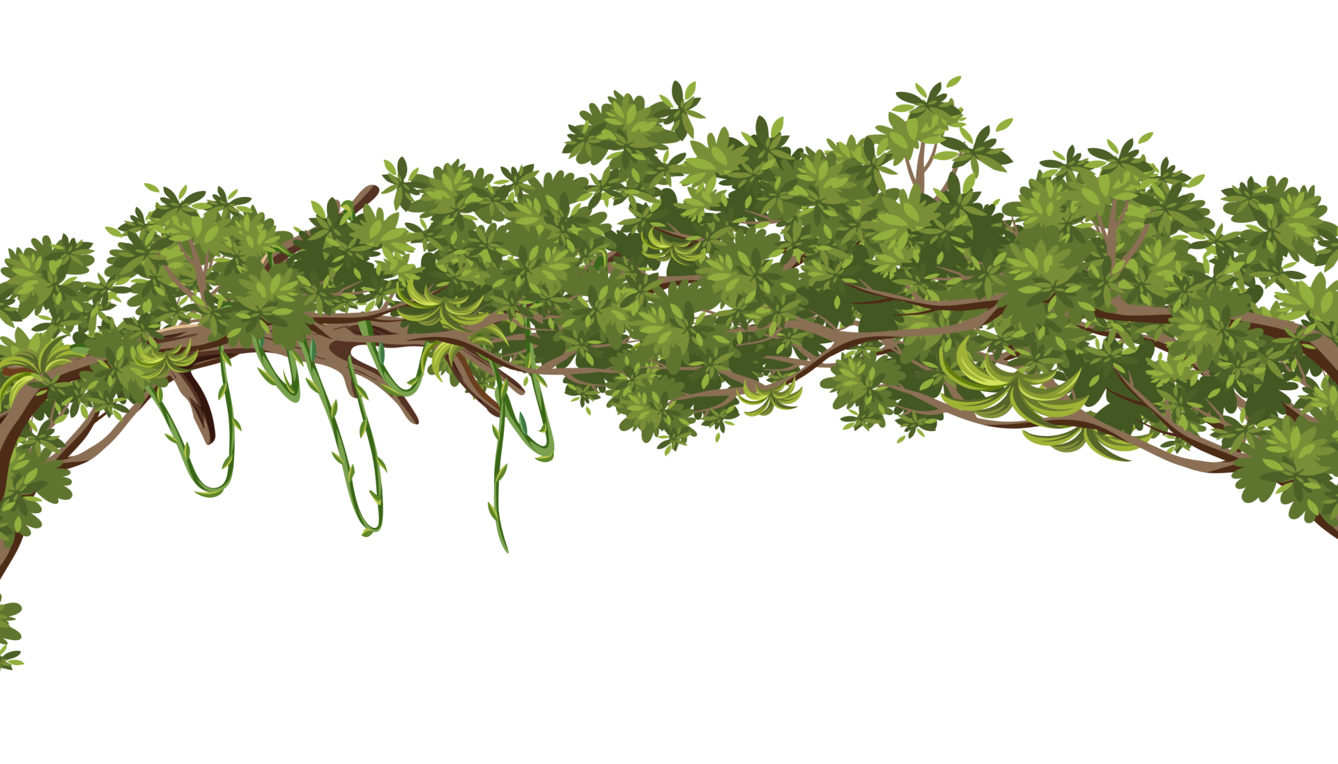 treeImg